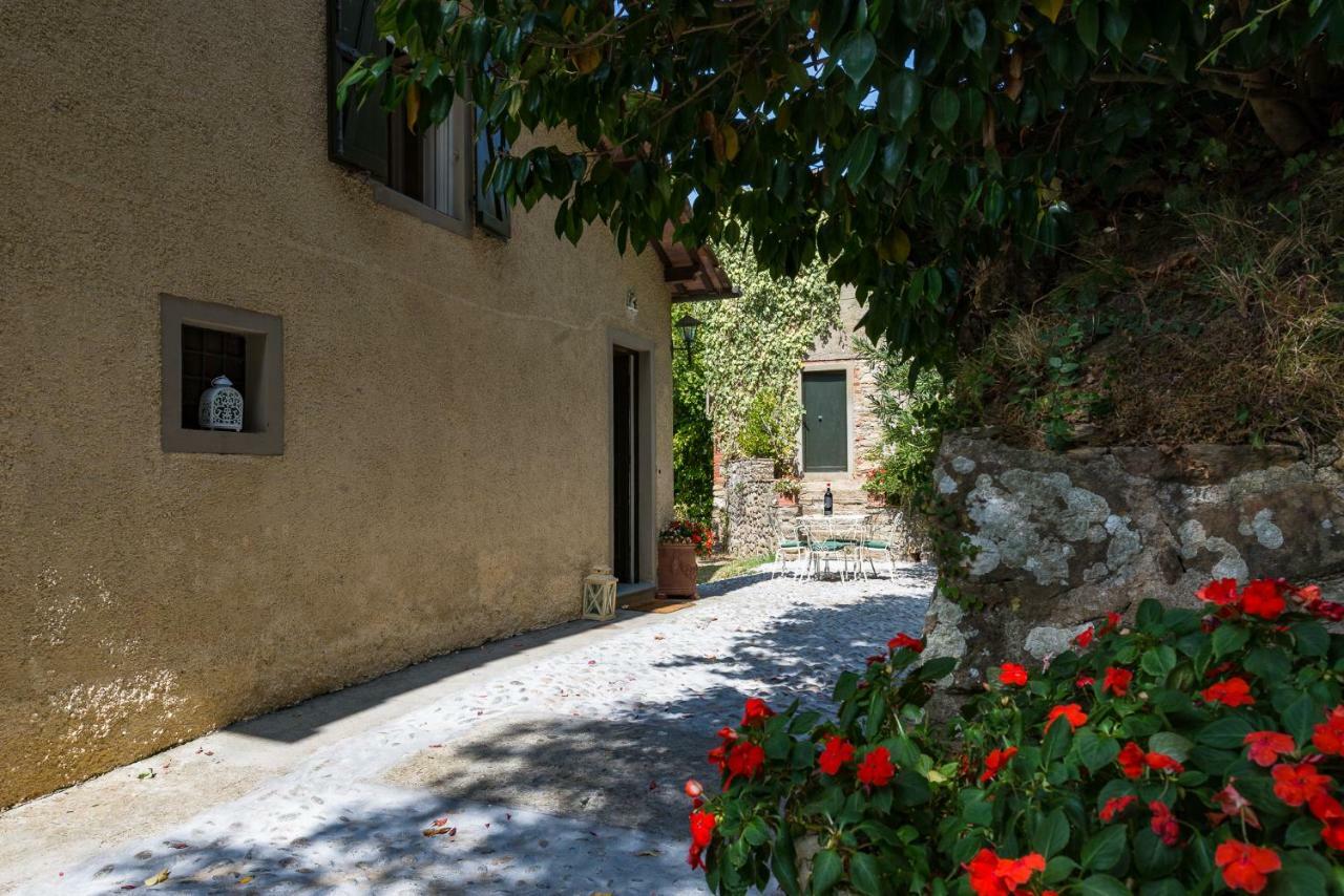 Villa Brancoli Capannori Εξωτερικό φωτογραφία